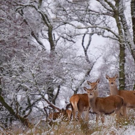 Lochside Lodge Glengoulandie Bagian luar foto
